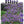 Load image into Gallery viewer, LIMONIUM PEREZII BLUE [SZ:14CM POT]
