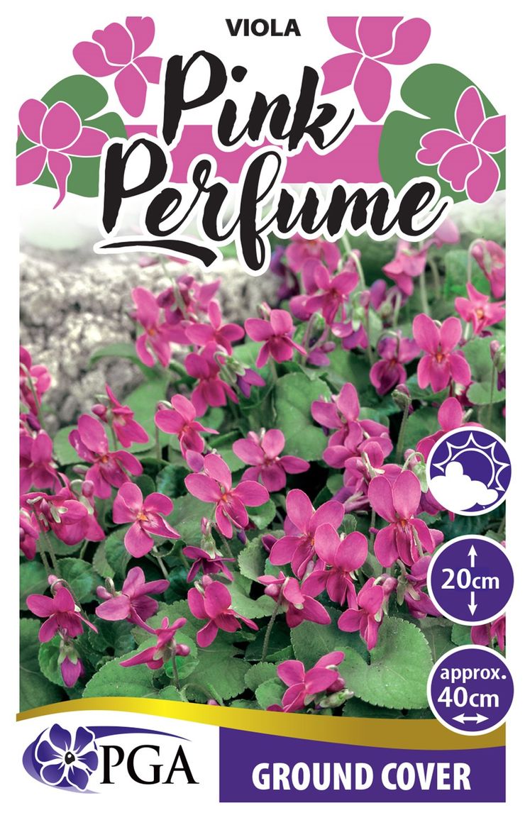 VIOLA PINK PERFUME [SZ:14CM POT]