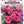 Load image into Gallery viewer, ECHINACEA SWEET FUCHSIA SUNSEEKERS [SZ:14CM POT]
